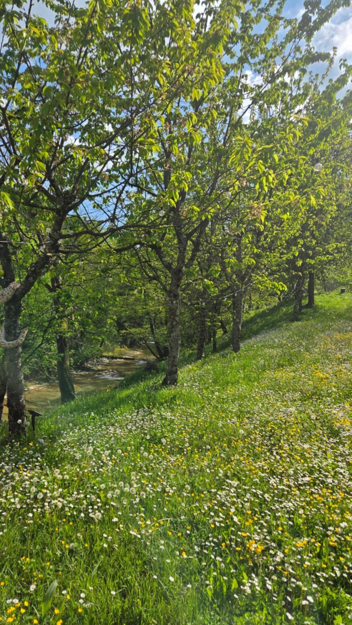 Borgo Corniola B&B Naturista Bed & Breakfast