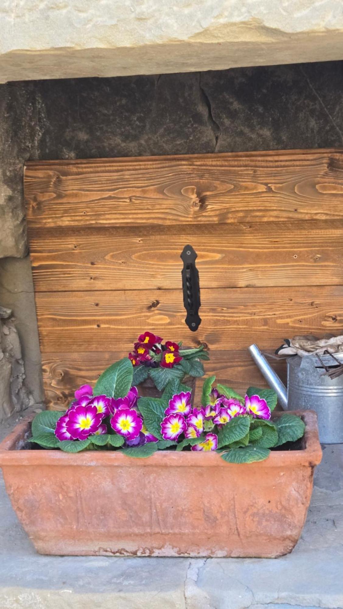 Borgo Corniola B&B Naturista *