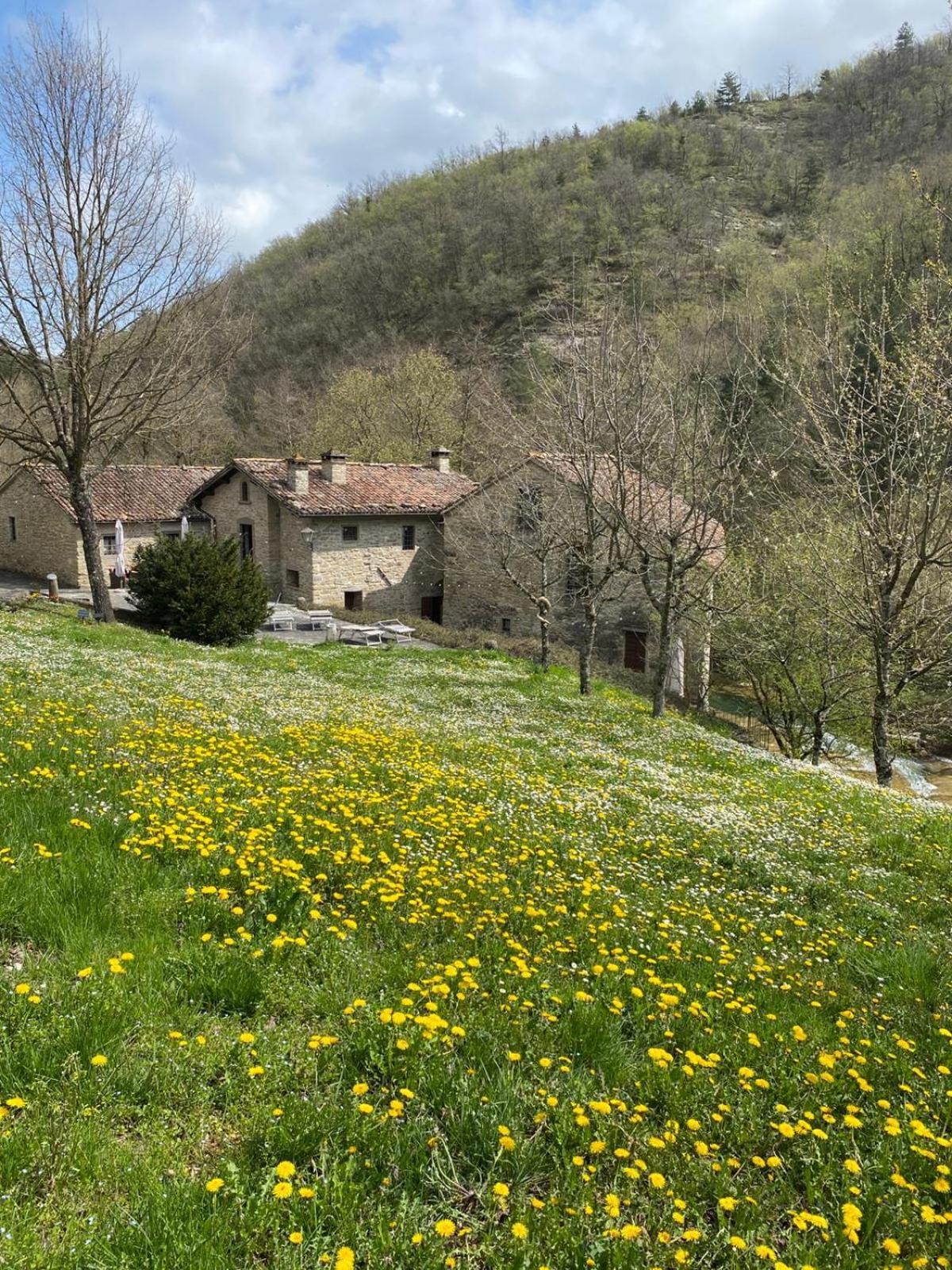 Borgo Corniola B&B Naturista Bed & Breakfast