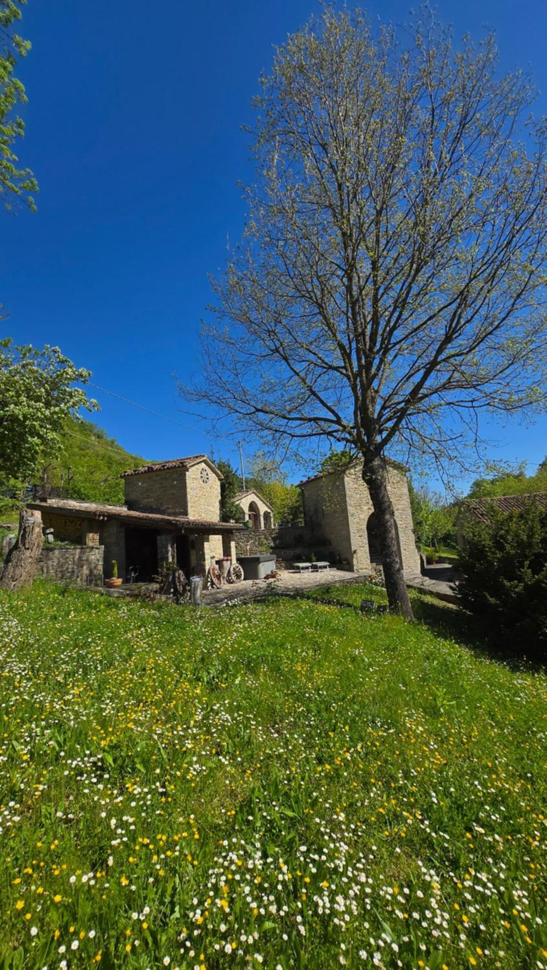 Borgo Corniola B&B Naturista Bed & Breakfast Marradi